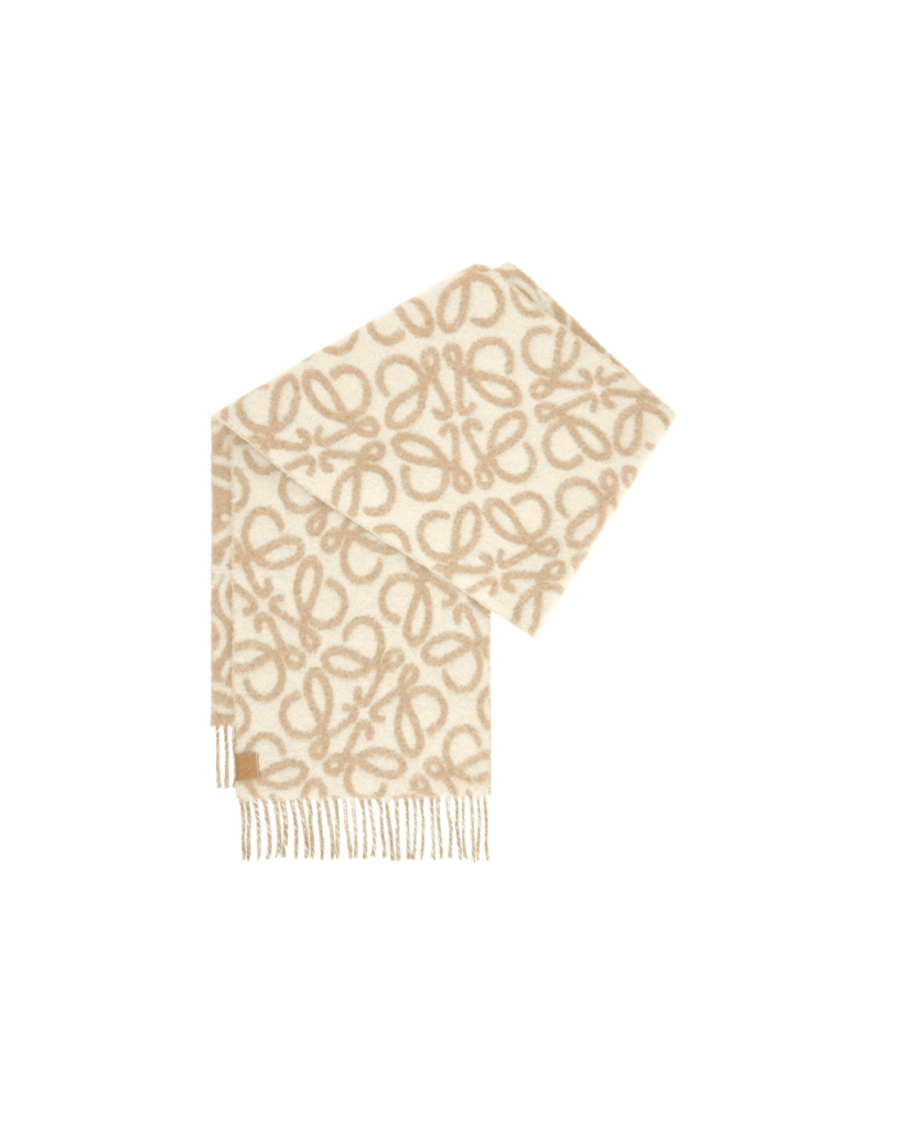 LOEWE Best Oversized Scarves Winter