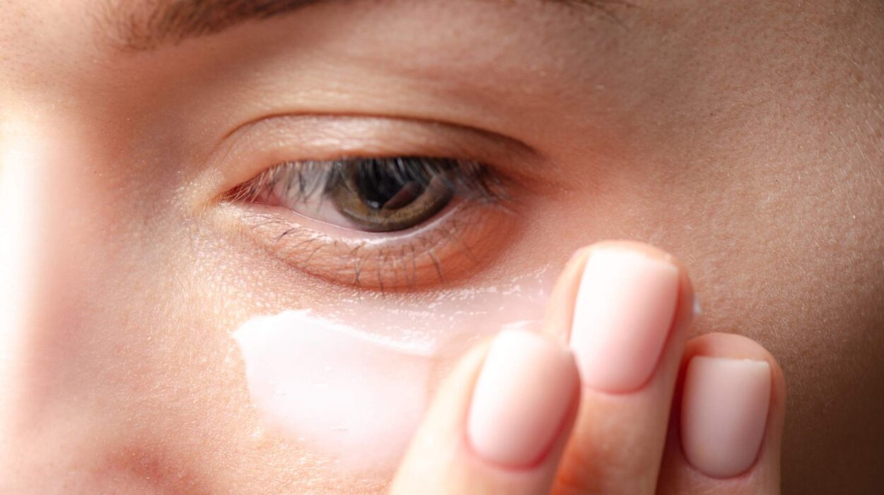 Korean eye cream beauty skincare