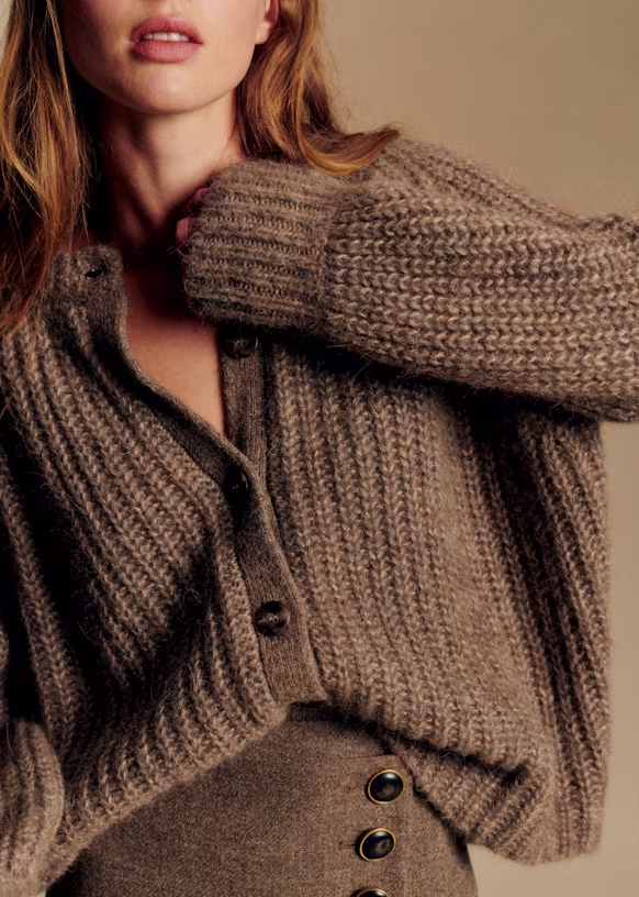 cardigan brown fall outfit sezane